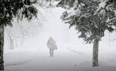 Сніг і хуртовина: яка погода в Харкові буде на вихідних
