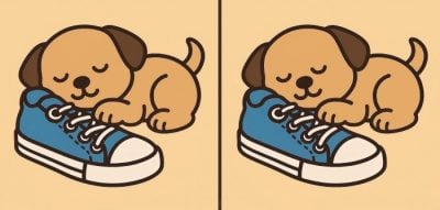 головоломка