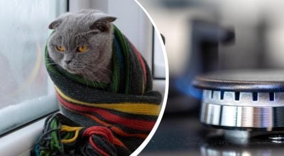 Смертельно опасно: украинцев призвали не использовать газовую плиту для отопления