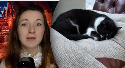 Чому коти сплять на своїх господарях?