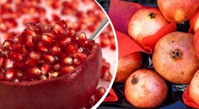 Чи можна їсти гранат із кісточками: відповідь, яка здивує багатьох
