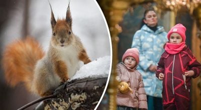 Чому 23 січня не можна лінуватися: яке церковне свято