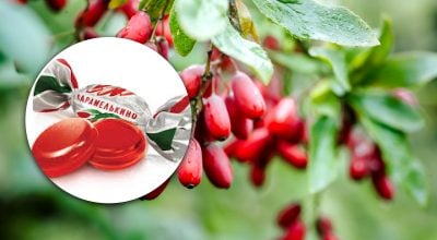 Сладкий феномен 80-х: почему "барбариски" сметали с полок и как их использовали