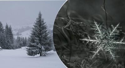 Як утворюються сніжинки та чому однакових не буває: відповідь вас здивує Як утворюються сніжинки та чому однакових не буває: відповідь вас здивує