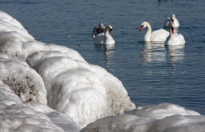 Замість морозів буде +7 градусів: коли чекати на відчутне потепління