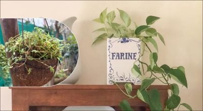 Друге життя старих речей: несподівані ідеї для кашпо з підручних речей