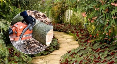 Садовая дорожка без бетона и плитки: что сделать из спиленного дерева