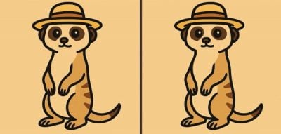 Тест на IQ: знайдіть 3 відмінності на картинці суриката в капелюсі за 49 секунд