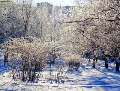 Прогноз погоды в Ровно и области на 27-20 января