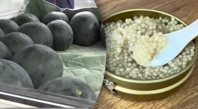 Найдорожча їжа у світі: за що насправді платять мільйонери