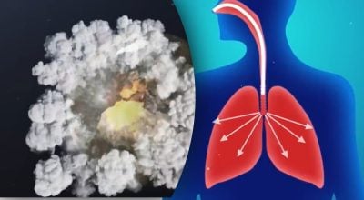 Що станеться із Землею, якщо кисень зникне на п’ять секунд: пояснення вчених