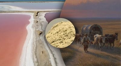 Не козаки і не купці: ким насправді були чумаки і чому їх так називали