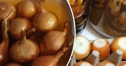 Можна двома способами: як правильно виростити цибулю на підвіконні