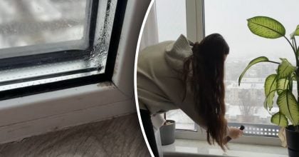 Конденсат більше не з'явиться: як відмити запотілі вікна від плісняви
