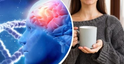 Лучшего напитка для здоровья мозга не найти: что советуют употреблять диетологи