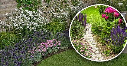 Посадил и забыл: идеальные многолетники для "ленивого" сада на солнце и в тени