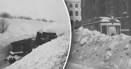 Птицы замерзали в полете: когда была самая суровая зима в Украине и мире