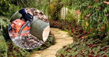 Садова доріжка без бетону і плитки: що зробити зі спиляного дерева