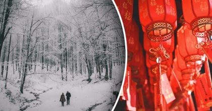 Китайський гороскоп на завтра, 28 січня: Півням пощастить, Собакам потрібна допомога