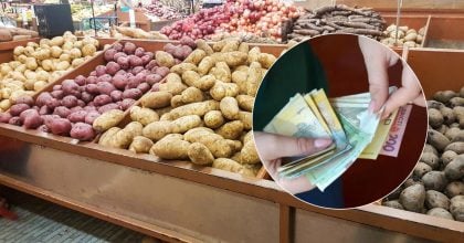 Вже на 16% дорожче: вартість одного продукту несподівано зросла у січні