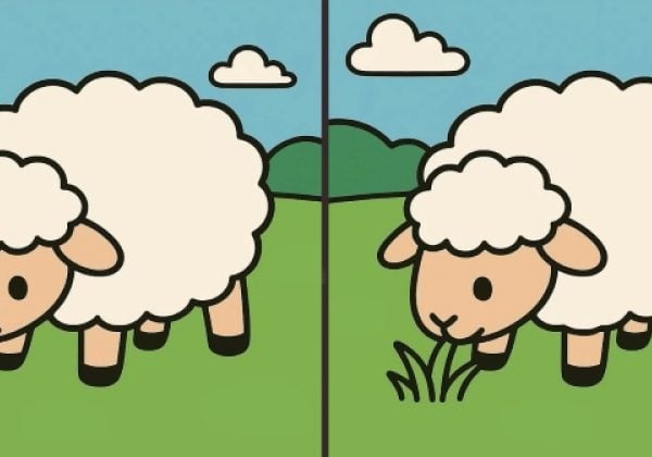 Тест на IQ: знайдіть 3 відмінності на зображенні вівці за 43 секунди