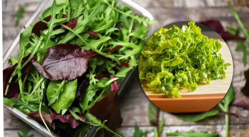 Зелень буде свіжою тижнями: кулінар розкрив секрет правильного зберігання