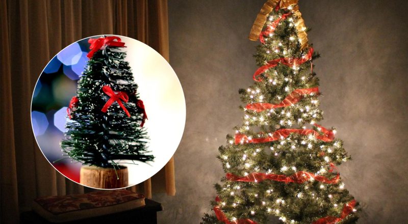 Когда на самом деле надо убирать елку - названа важная дата в 2026 году