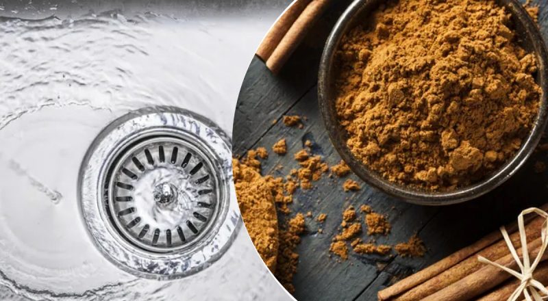 Хозяйки советуют насыпать корицу в раковину: это решит распространенную проблему