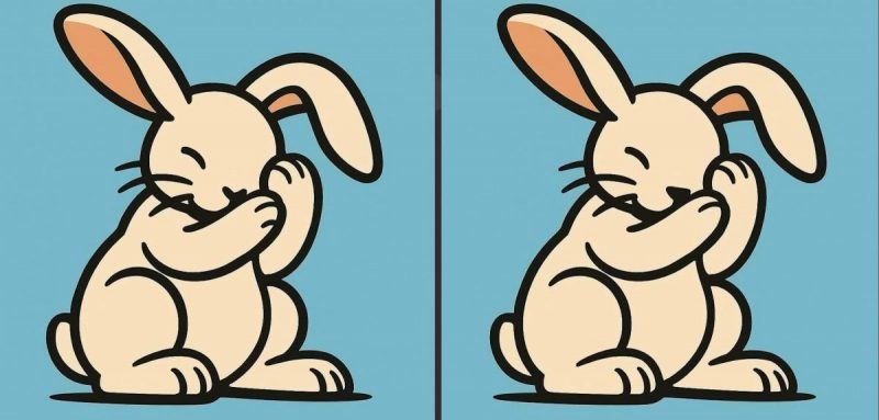 Супертест на IQ: найдите 3 отличия на картинке кролика за 85 секунд