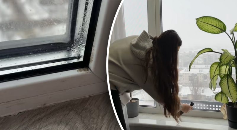 Конденсат больше не появится: как отмыть запотевшие окна от плесени