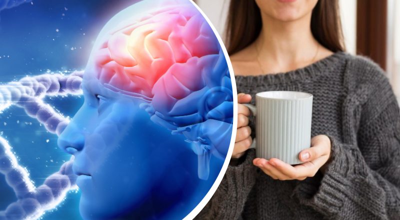 Лучшего напитка для здоровья мозга не найти: что советуют употреблять диетологи