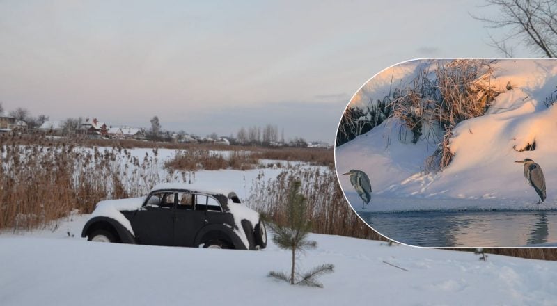 Мороз із сюрпризами: якою буде погода на Житомирщині до кінця тижня