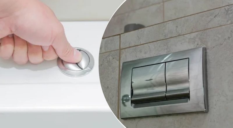 Зачем на унитазе 2 кнопки: истинное назначение удивит многих