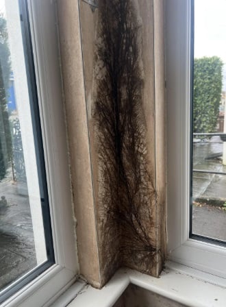 скріншот скріншот