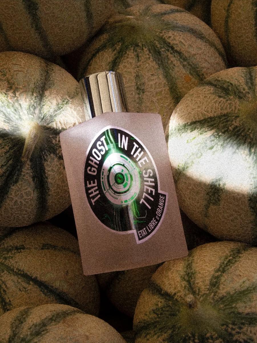 ELDO Привид у оболонці