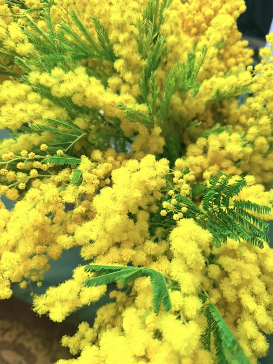 Букет від Девіда Аксельрода