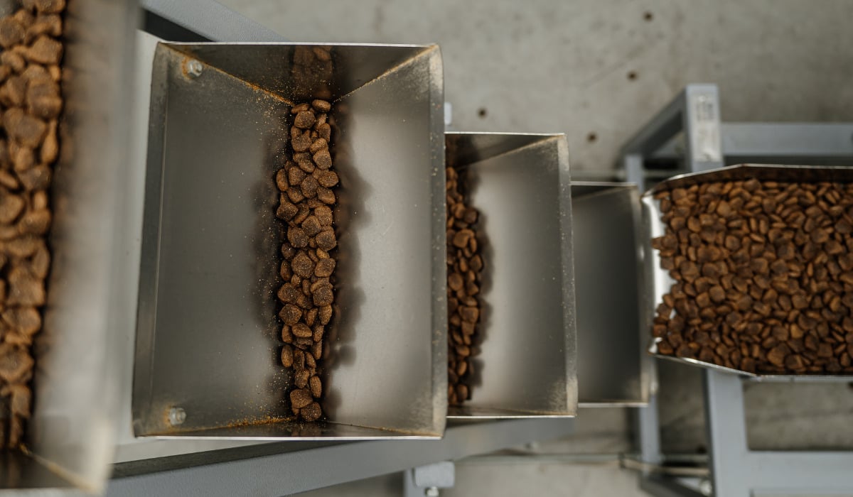 Корм для собак і котів зі свіжим мʼясом: чим підхід PRACTIK відрізняється від класичних рецептів