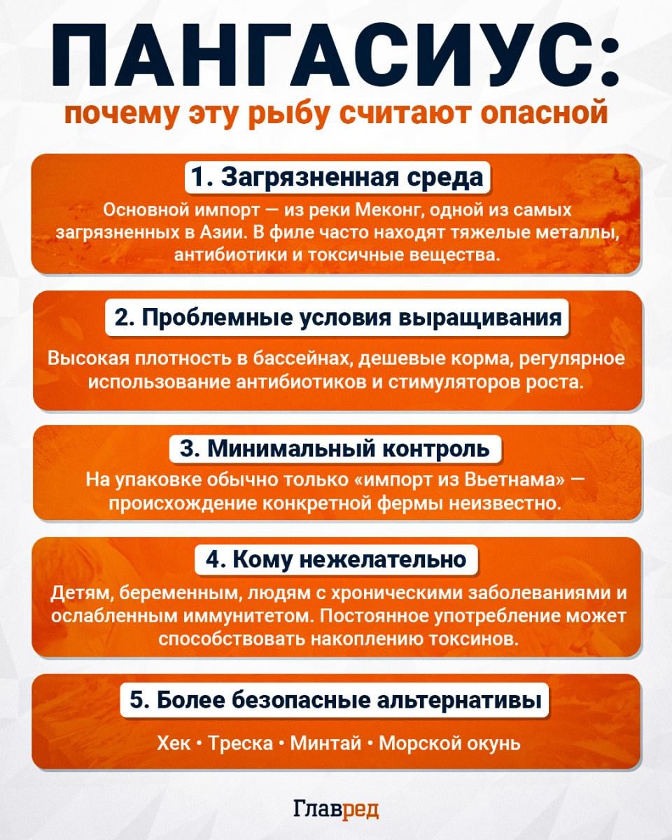 Чем опасна рыба пангасиус