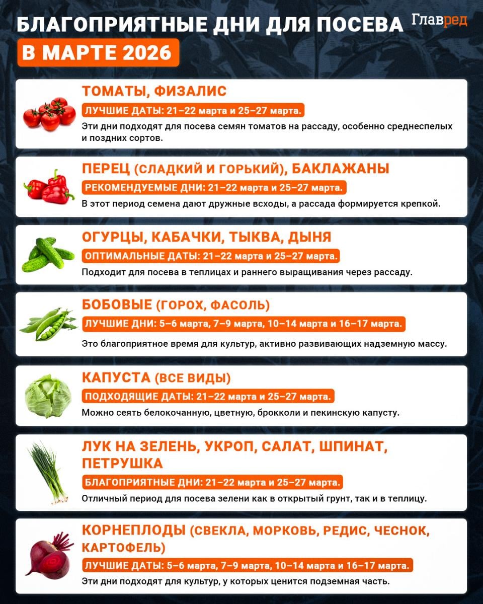 Посевной календарь на март 2026 Посевной календарь на март 2026