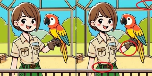 головоломка