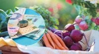 Удар по гаманцях українців: цінники на один продукт вперто повзуть угору