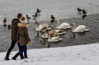 Циклони накриють Україну: погода на вихідних принесе відлигу до +10 і мокрий сніг