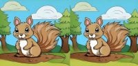 Супертест на IQ: найдите 3 отличия на картинке белки за 25 секунд