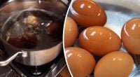 Навіщо варити яйця з металевою ложкою: шеф-кухар вразив відповіддю