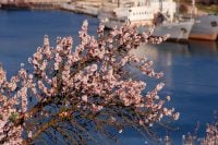 Яким буде березень-2026 в Одесі: прогноз погоди на перший місяць весни