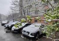 Потеплеет до +13 градусов: в Украину уже идет метеорологическая весна