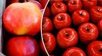 Чому магазинні яблука блищать: чим їх покривають