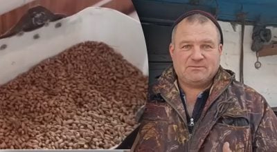 Чому кури не несуться взимку: п’ять факторів, про які варто знати