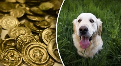 Пес під час прогулянки зробив відкриття століття: який скарб він знайшов і де Пес під час прогулянки зробив відкриття століття: який скарб він знайшов і де