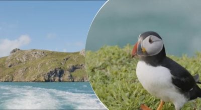 Волонтерів запрошують пожити безплатно на острові в Уельсі: у чому "підступ"